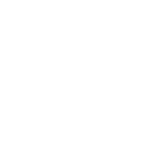 Logo RUELLE-DOMMANGE
