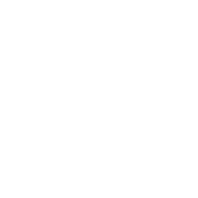 Logo REIFY