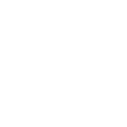 Logo International Automotive Components Group GmbH