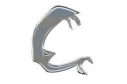 Logo Curated Phrase Studios