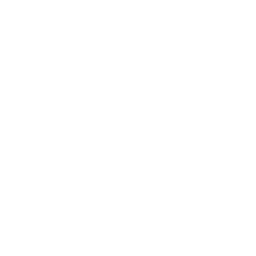 Logo MV Solutions Group