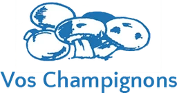 Logo VOS CHAMPIGNONS