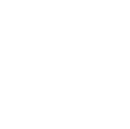 Logo Customs Solutions