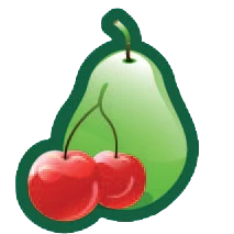 Logo TOP FRUIT BIETS