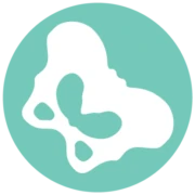 Logo Blink