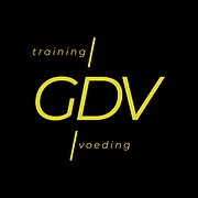Logo GDV Coaching
