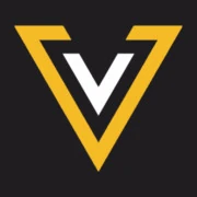 Logo VINDIC