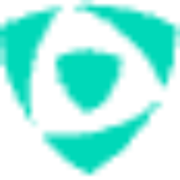 Logo VAN AMEYDE BELGIUM