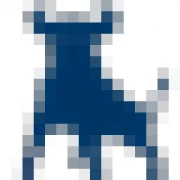Logo BULL'INVEST