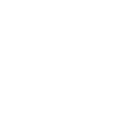 Logo Stable Coaching