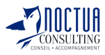 Logo NOCTUA CONSULTING