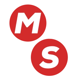Logo MAXIMUM SECURITY