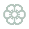 Logo STELLOW