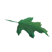 Logo BEGEKA