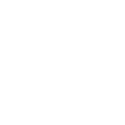 Logo GE GRID 5SWITZERLAND GmbH