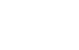 Logo CAREY