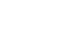 Logo DS Legal Support