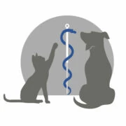 Logo Debyser