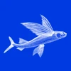 Logo "L.E.A.P."