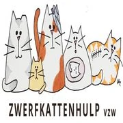Logo Zwerfkattenhulp