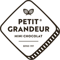 Logo MINI-CHOC