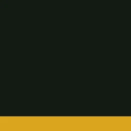 Logo Collor