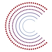 Logo CONCLUSIVE SOLUTIONS