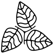 Logo YOUR NATURE