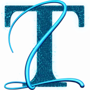 Logo Taxi & Limousine Company