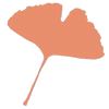 Logo Netwerk Levenseinde vzw