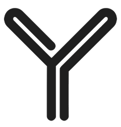 Logo YOUPI MEDIA