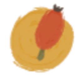 Logo CYNORHODON
