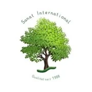 Logo Sanat