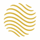 Logo Group D&M