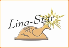 Logo LINA - STAR