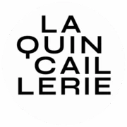 Logo IDAS