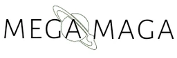Logo MEGA IMPORT