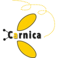Logo CARNICA