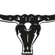 Logo Praktijk2Recover