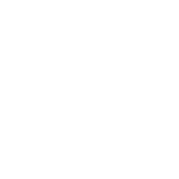 Logo SAVIMI