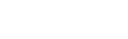 Logo NAVITAIRE INC