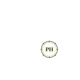 Logo BRANDSXL