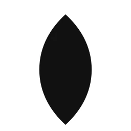 Logo Flipside