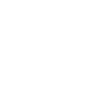 Logo DIOZ