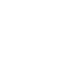 Logo MICROMERITICS