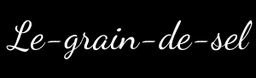 Logo LE GRAIN DE SEL