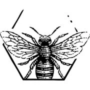 Logo Secundum Artem
