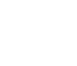 Logo PDP