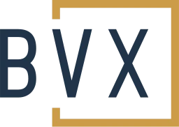Logo BVX