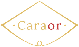 Logo RECYCLOR INVEST